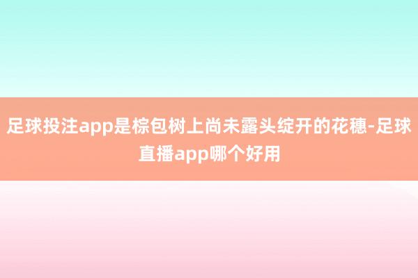 足球投注app是棕包树上尚未露头绽开的花穗-足球直播app哪个好用