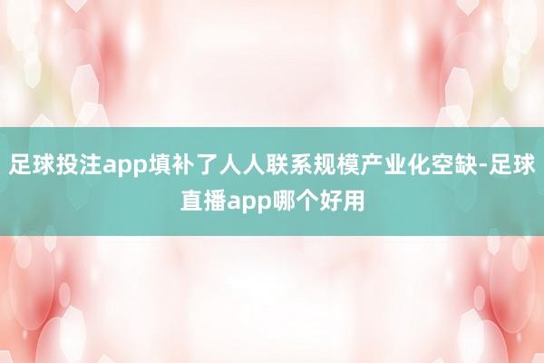 足球投注app填补了人人联系规模产业化空缺-足球直播app哪个好用