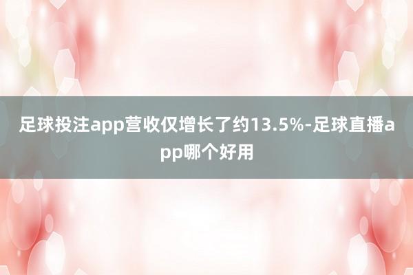 足球投注app营收仅增长了约13.5%-足球直播app哪个好用