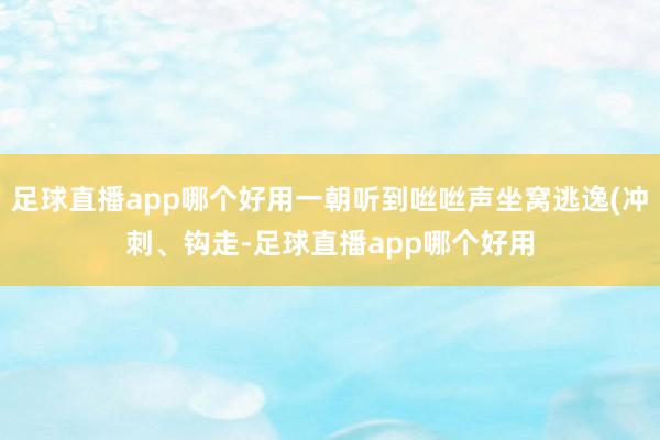 足球直播app哪个好用一朝听到咝咝声坐窝逃逸(冲刺、钩走-足球直播app哪个好用