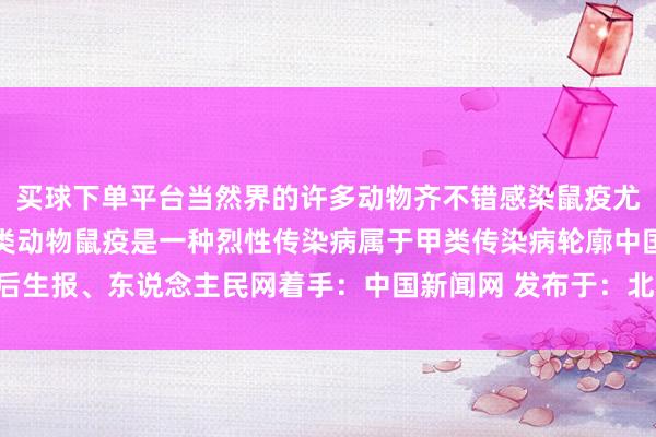 买球下单平台当然界的许多动物齐不错感染鼠疫尤其是鼠类、旱獭等啮齿类动物鼠疫是一种烈性传染病属于甲类传染病轮廓中国后生报、东说念主民网着手：中国新闻网 发布于：北京市-足球直播app哪个好用