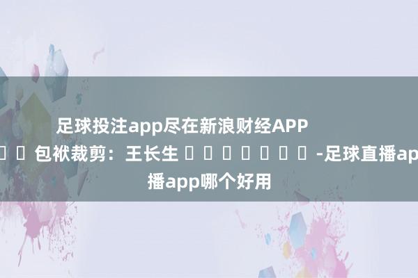 足球投注app尽在新浪财经APP 包袱裁剪:王长生 -足球直播app哪个好用
