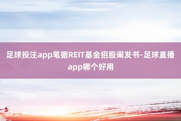 足球投注app笔据REIT基金招股阐发书-足球直播app哪个好用