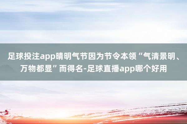 足球投注app晴明气节因为节令本领“气清景明、万物都显”而得名-足球直播app哪个好用