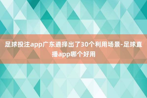 足球投注app广东遴择出了30个利用场景-足球直播app哪个好用