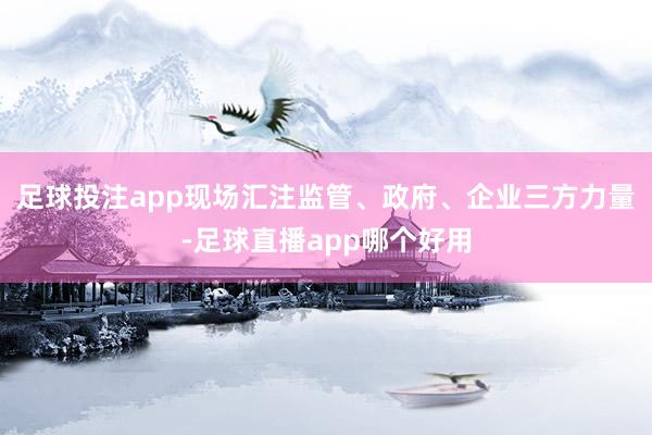 足球投注app现场汇注监管、政府、企业三方力量-足球直播app哪个好用