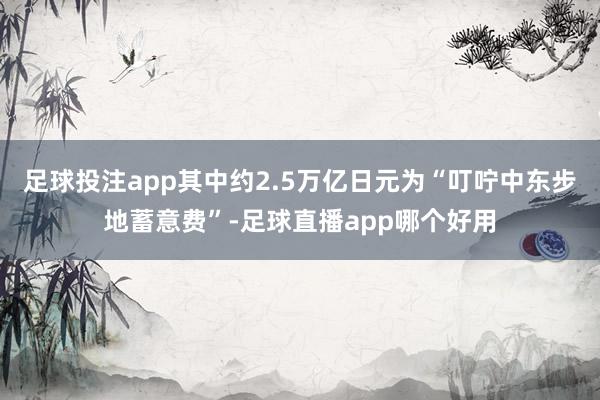 足球投注app其中约2.5万亿日元为“叮咛中东步地蓄意费”-足球直播app哪个好用