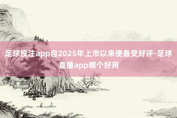 足球投注app自2025年上市以来便备受好评-足球直播app哪个好用