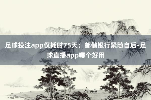 足球投注app仅耗时75天;邮储银行紧随自后-足球直播app哪个好用