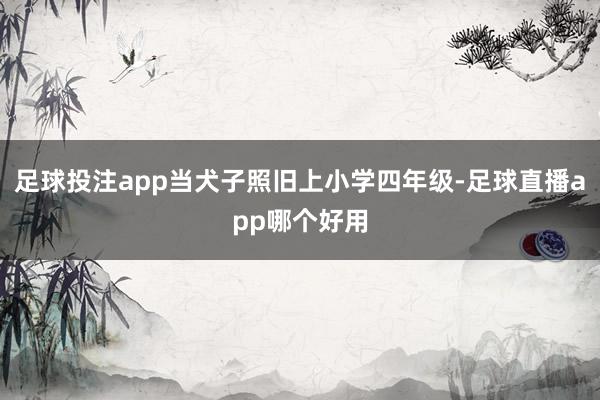 足球投注app当犬子照旧上小学四年级-足球直播app哪个好用