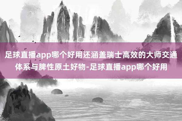足球直播app哪个好用还涵盖瑞士高效的大师交通体系与脾性原土好物-足球直播app哪个好用