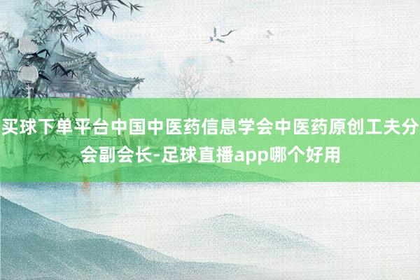 买球下单平台中国中医药信息学会中医药原创工夫分会副会长-足球直播app哪个好用