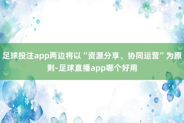 足球投注app两边将以“资源分享、协同运营”为原则-足球直播app哪个好用