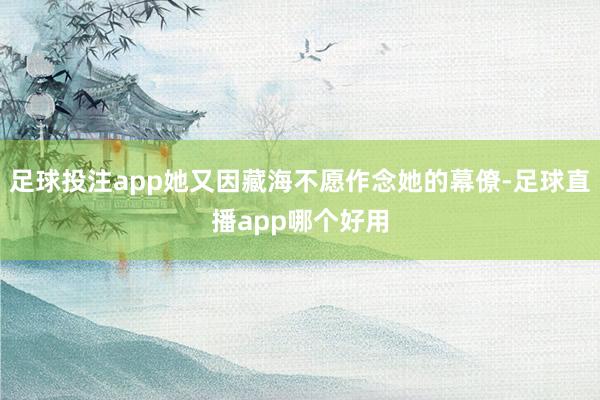 足球投注app她又因藏海不愿作念她的幕僚-足球直播app哪个好用