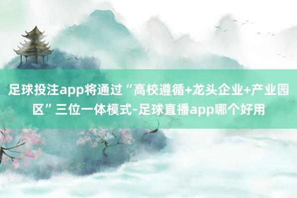 足球投注app将通过“高校遵循+龙头企业+产业园区”三位一体模式-足球直播app哪个好用