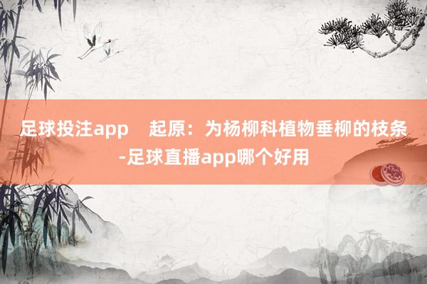 足球投注app    　　起原：为杨柳科植物垂柳的枝条-足球直播app哪个好用