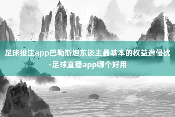 足球投注app巴勒斯坦东谈主最基本的权益遭侵扰-足球直播app哪个好用
