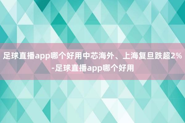足球直播app哪个好用中芯海外、上海复旦跌超2%-足球直播app哪个好用