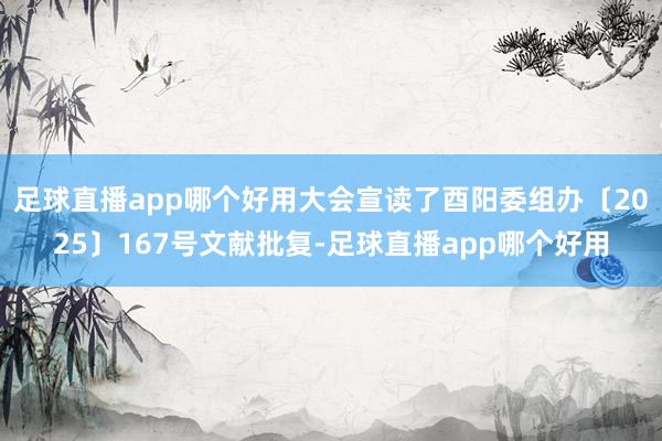 足球直播app哪个好用大会宣读了酉阳委组办〔2025〕167号文献批复-足球直播app哪个好用