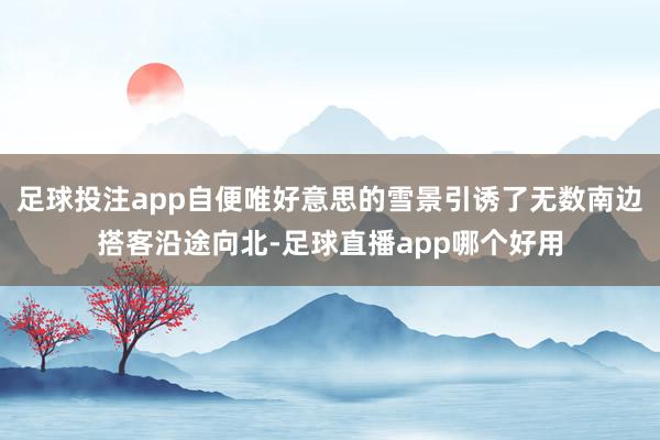 足球投注app自便唯好意思的雪景引诱了无数南边搭客沿途向北-足球直播app哪个好用