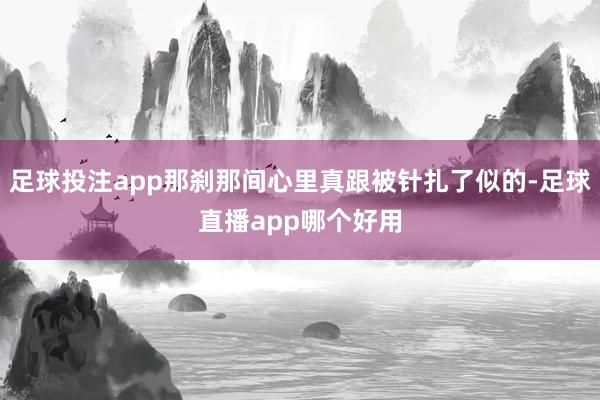 足球投注app那刹那间心里真跟被针扎了似的-足球直播app哪个好用